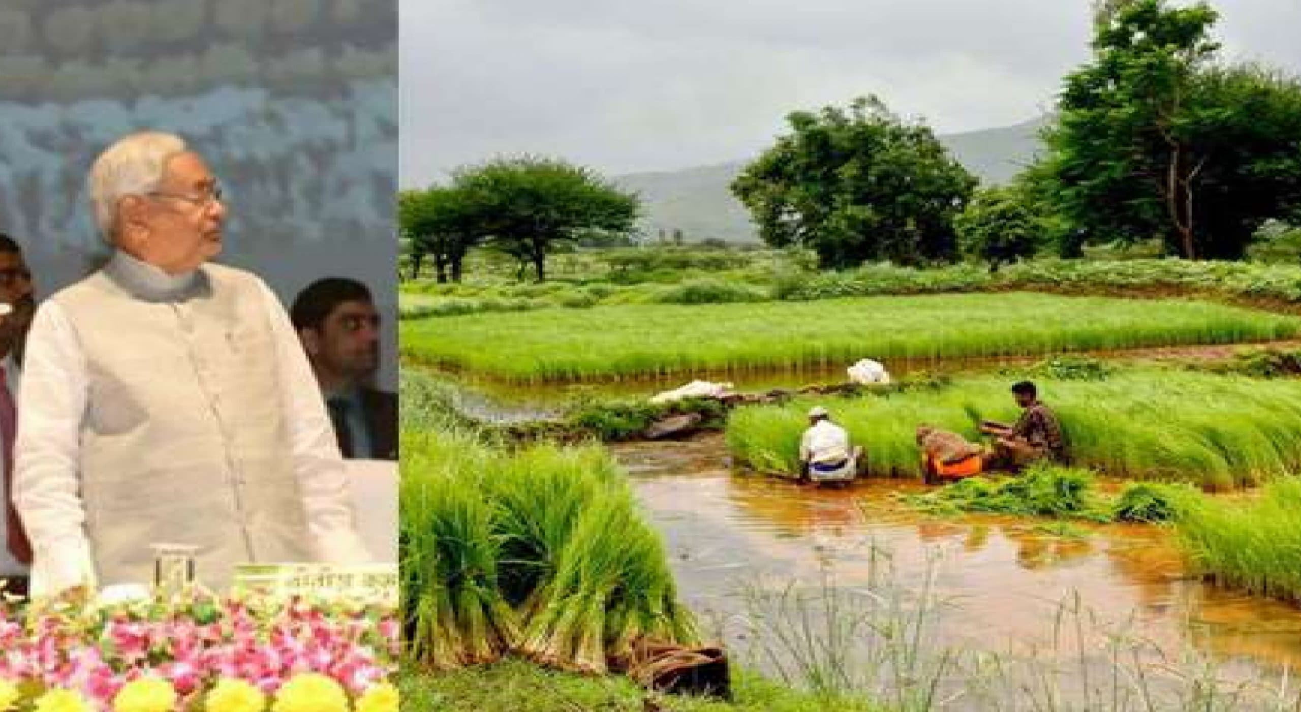 बिहार की खेती में होगा बड़ा बदलाव, वैज्ञानिकों ने बताया कैसे बनेंगे चतुर्थ कृषि रोड मैप से मालामाल