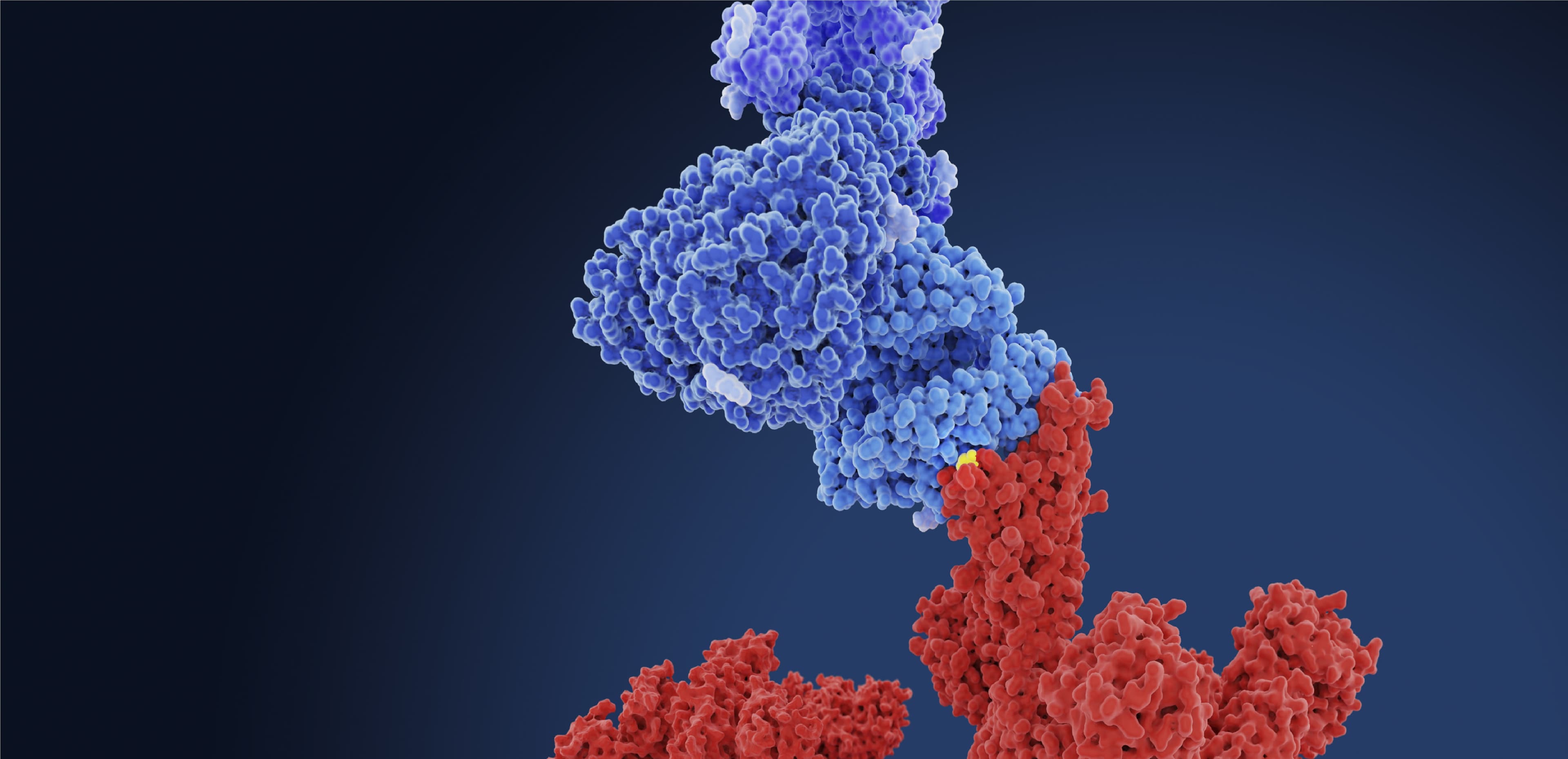 कोरोना महामारी की वजह गोवा शुक्रवार से तीन दिनों के लिए बंद