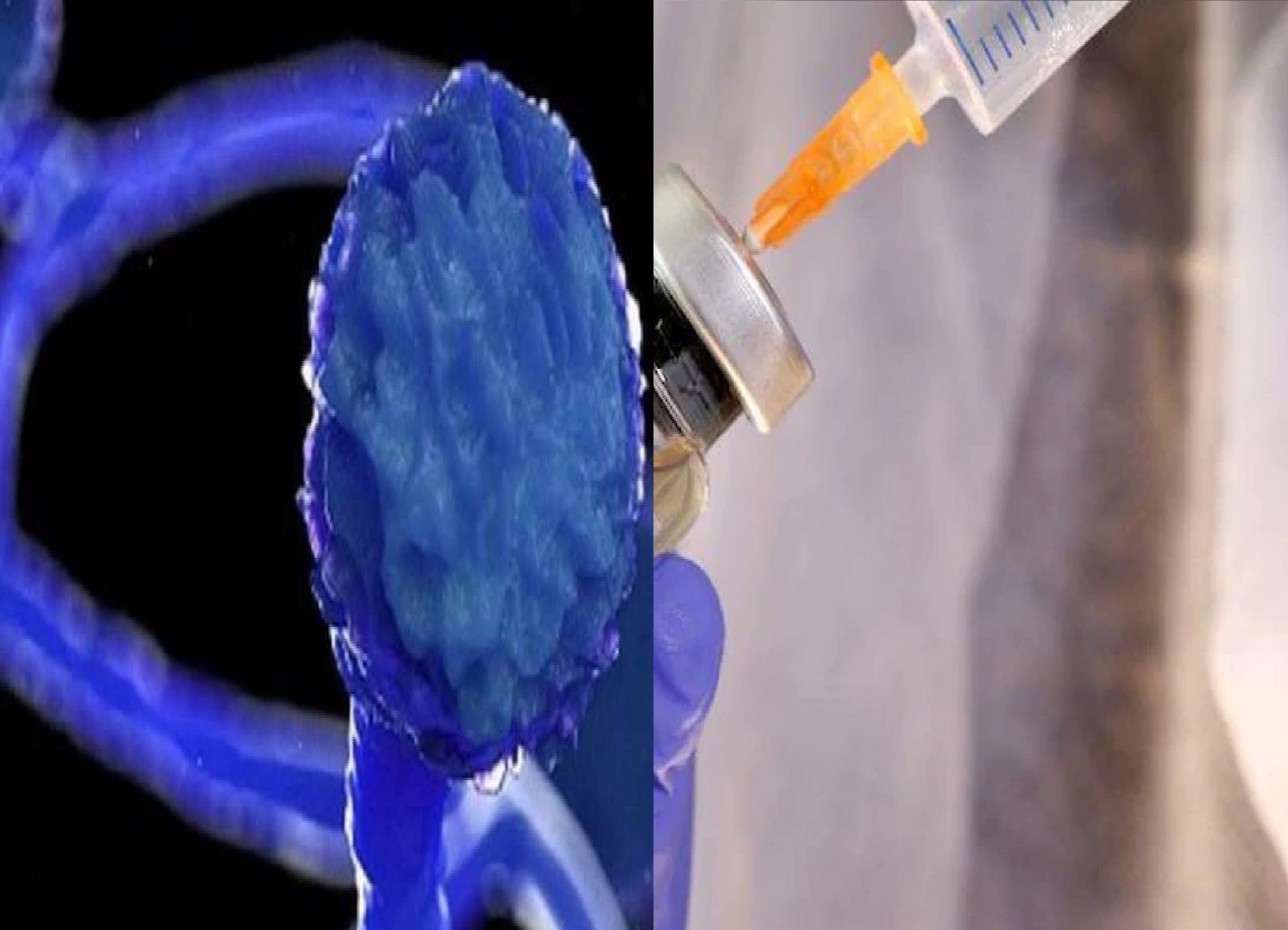 सिर्फ कोरोना ही नहीं ब्लैक फंगस से भी बचाती है  कोविड वैक्सीन