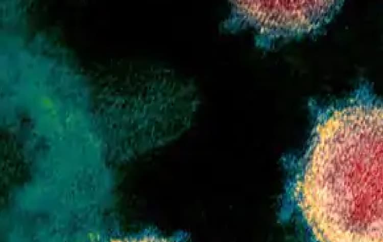 Coronavirus UK Strain : जानें कितना खतरनाक है ब्रिटेन से आया नया कोरोना स्ट्रेन, डॉ गुलेरिया ने दी ये चेतावनी