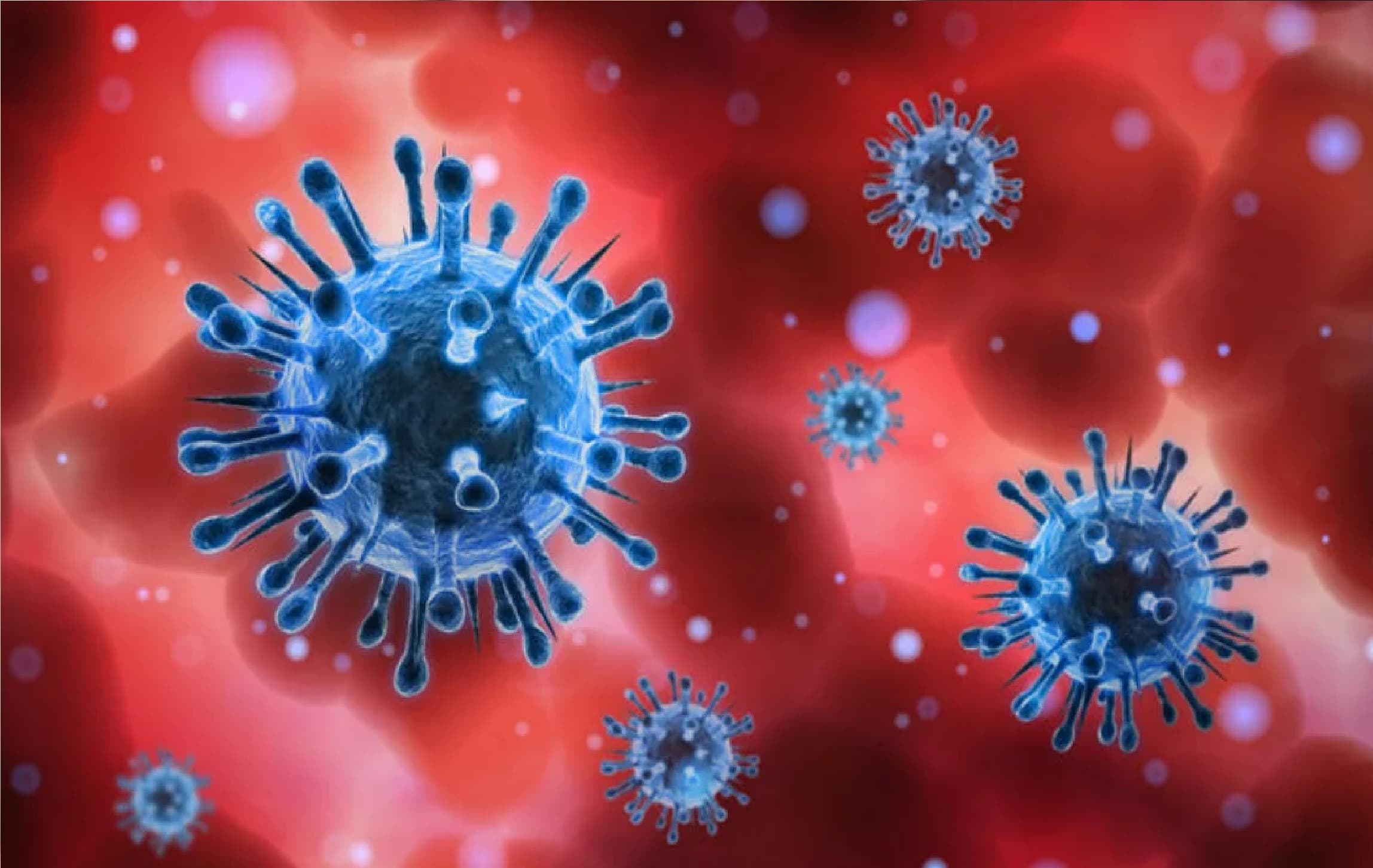 धुम्रपान करने वालों और शाकाहारियों पर कोरोना संक्रमण का खतरा कम : सर्वे रिपोर्ट