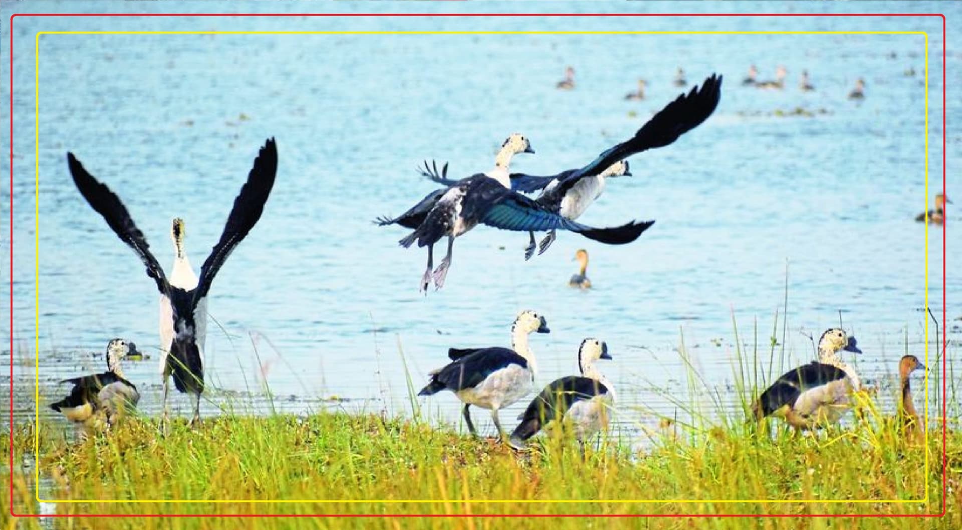 भागलपुर के इस गांव में कैंसर से काल के गाल में समा रहे लोग, ग्रामीणों ने स्वास्थ्य मंत्रालय को लिखा पत्र