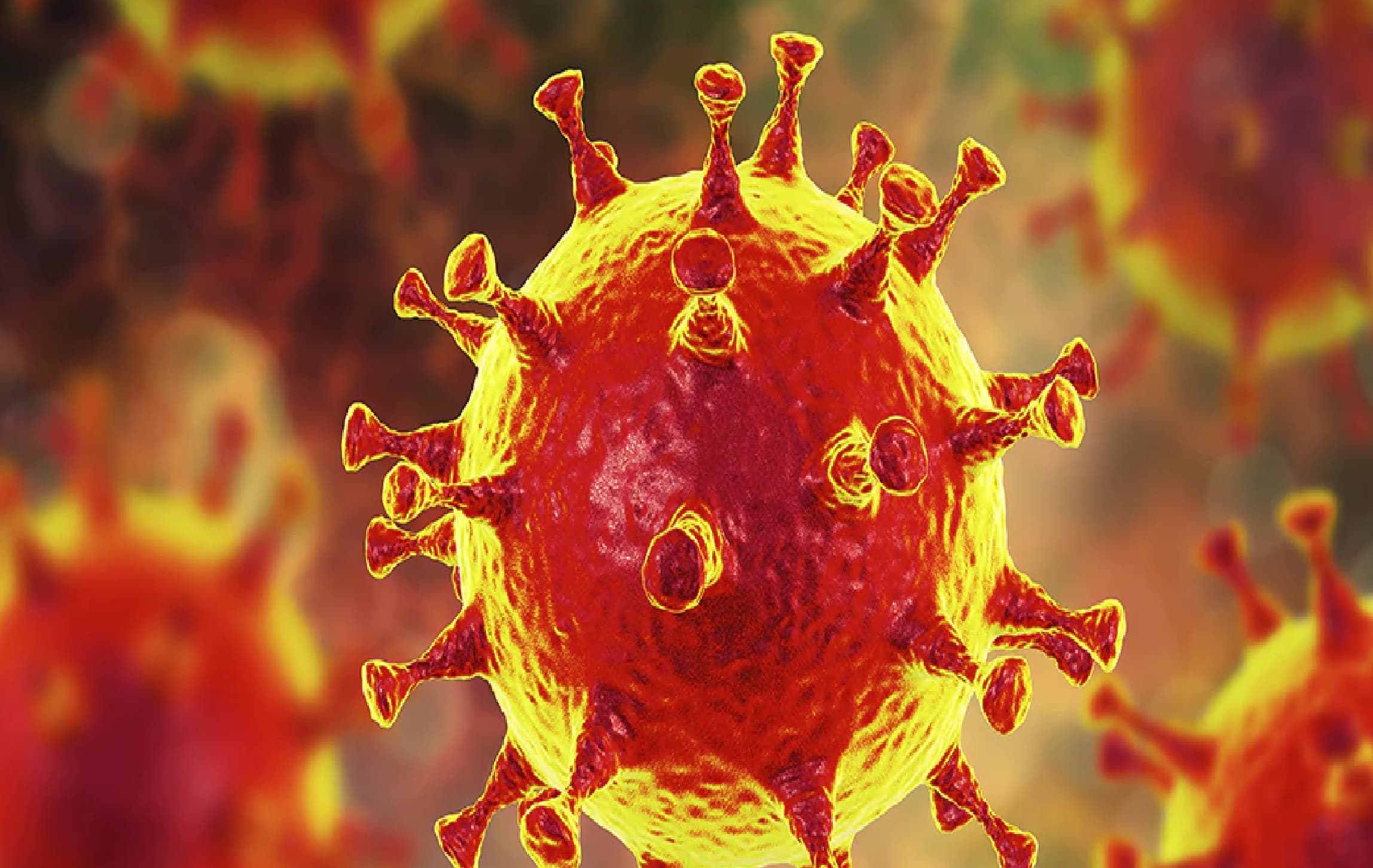 CM नीतीश ने TMC नेता के द्वारा राष्ट्रपति के खिलाफ दिये बयान को बताया शर्मनाक, बोले- 'ऐसी बातें ठीक नहीं'