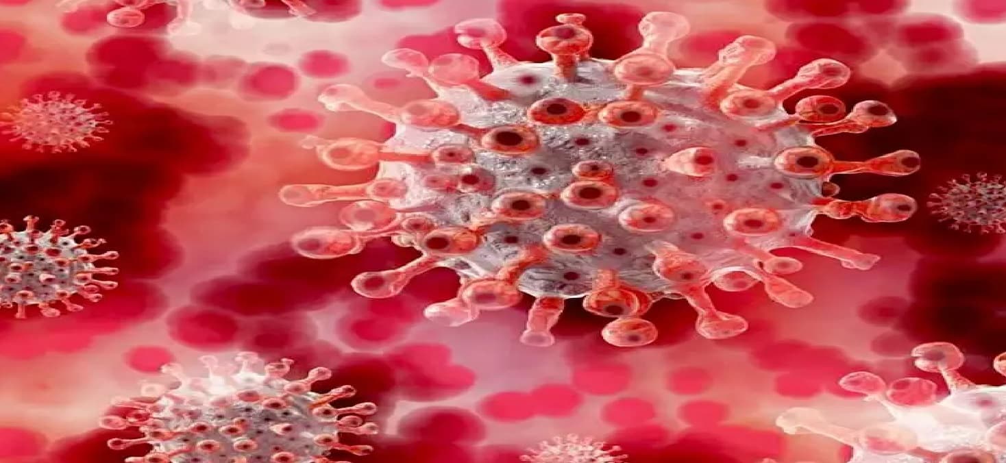 coronavirus fight अमीरों से टैक्स लेकर कोरोना से लड़ेगा यह देश