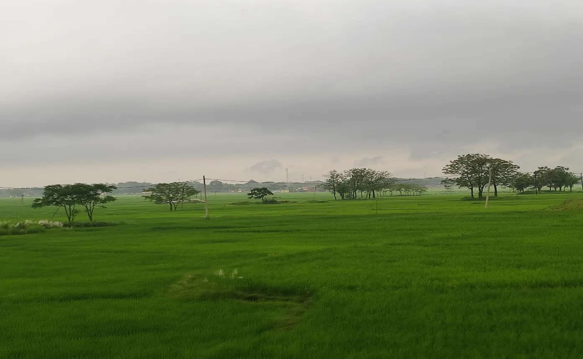 कहीं आप भी तो गलत तरीके से नहीं ले रहे किसान योजना का लाभ ? केस दर्ज, होगी कड़ी कार्रवाई