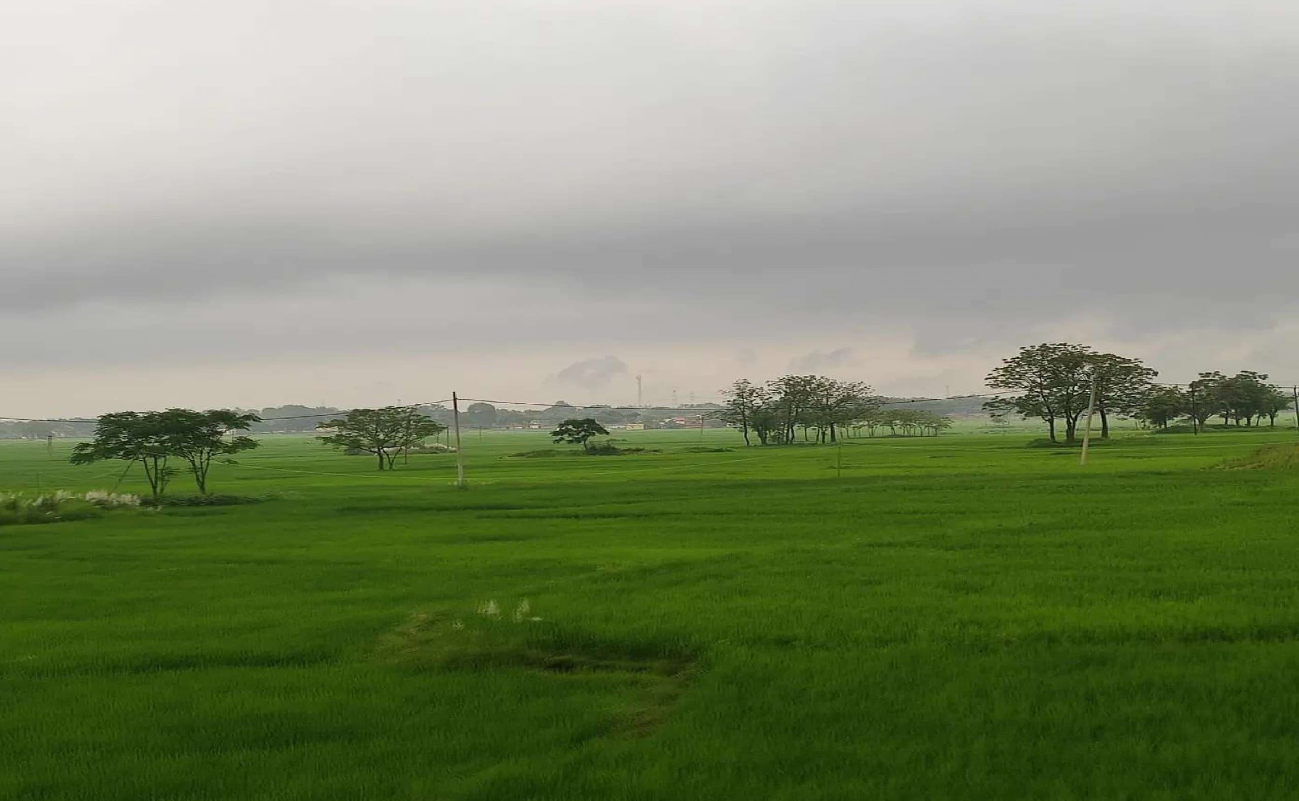 PM Kisan Yojana 11th Installment Date: कहीं लटक ना जाए पीएम किसान की 11वीं किस्‍त, जल्दी चेक करें स्‍टेटस