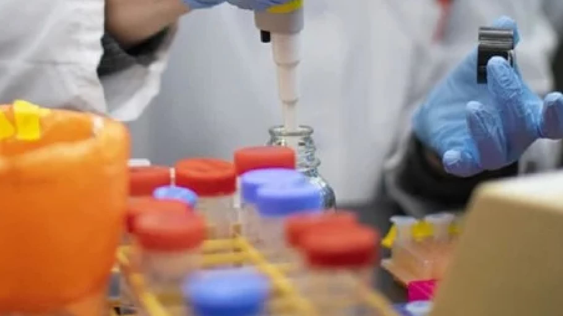 स्थानीय युवाओं को निजी क्षेत्र में 75 फीसदी का आरक्षण के फैसले पर कोर्ट ने लगायी रोक