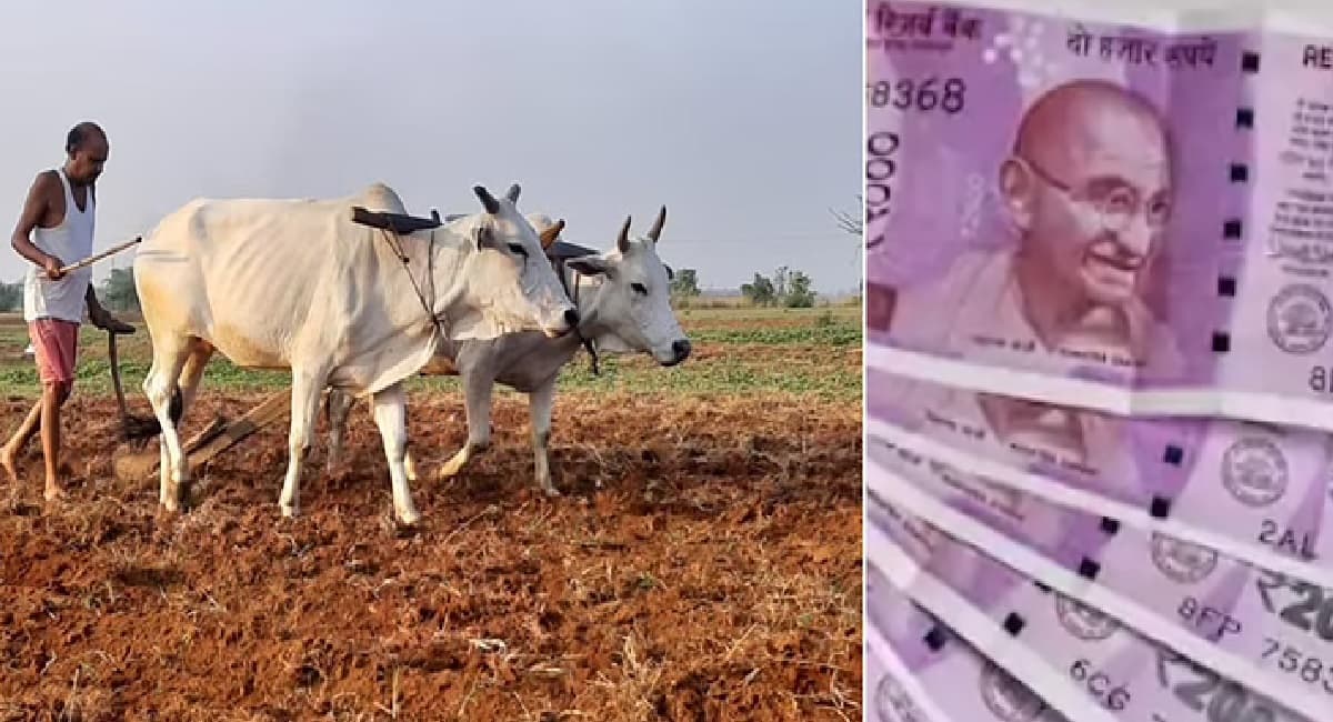 Kisan Samman Nidhi Yojna : 2 करोड़ किसानों के खाते में नहीं आये पैसे, जानें क्या है कारण ?