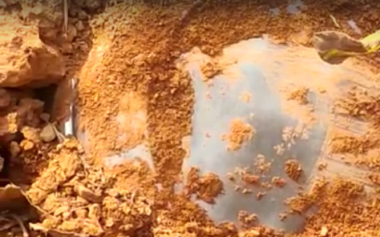 चाईबासा में पुलिस और सुरक्षा बलों को मिली बड़ी सफलता, नक्सलियों के मंसूबे पर फेरा पानी