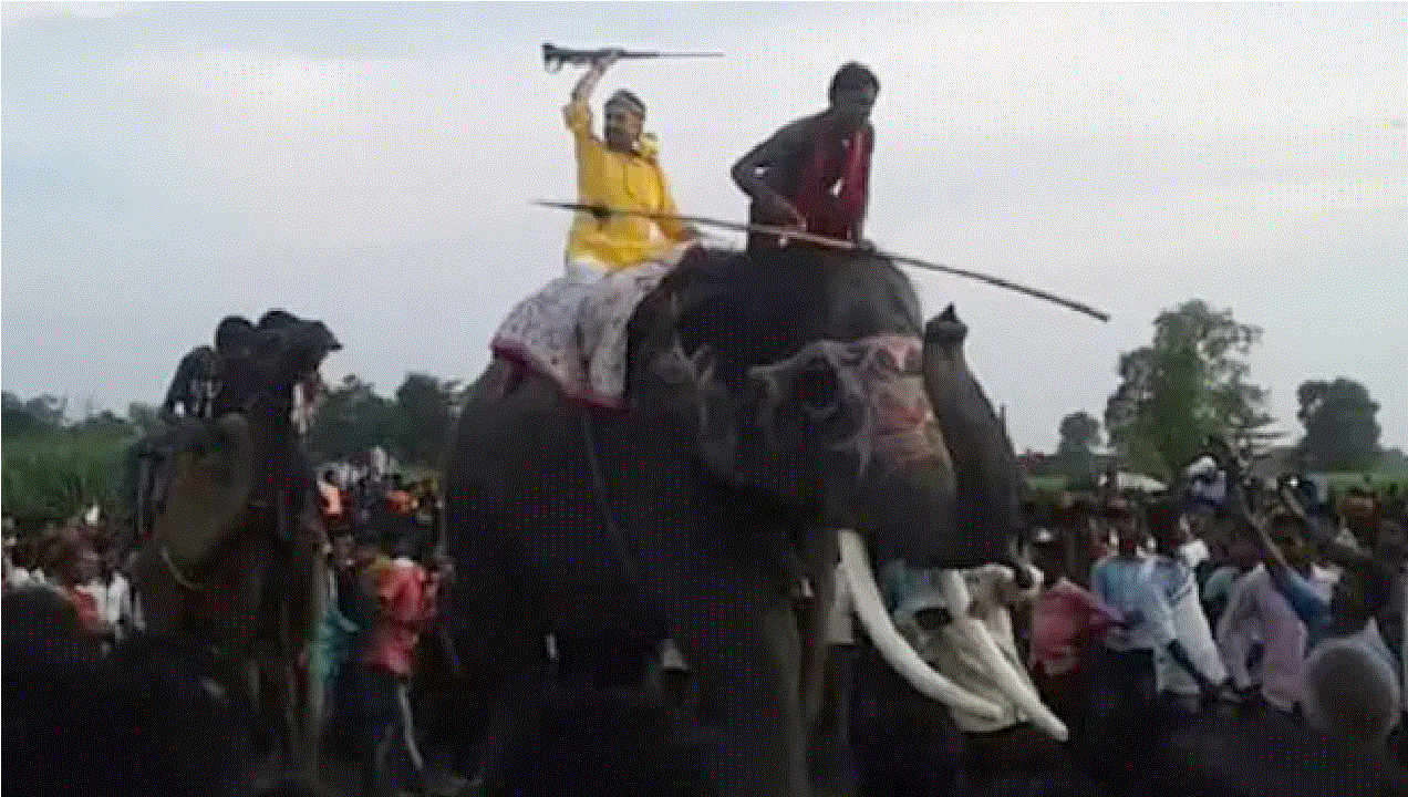 Bhojpuri Film: पवन और खेसारी में जाने भोजपुरी इंडस्ट्री का कौन है BOSS, इसमें सपना चौधरी भी मारी ए‍ंट्री