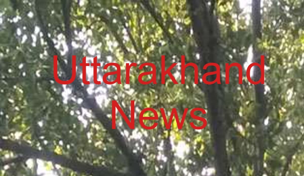 Uttarakhand: BJP अनुसूचित मोर्चा के जिलाध्यक्ष ने तहसील में पेड़ पर चढ़कर दी आत्महत्या की चेतावनी, पेट्रोल छिड़का