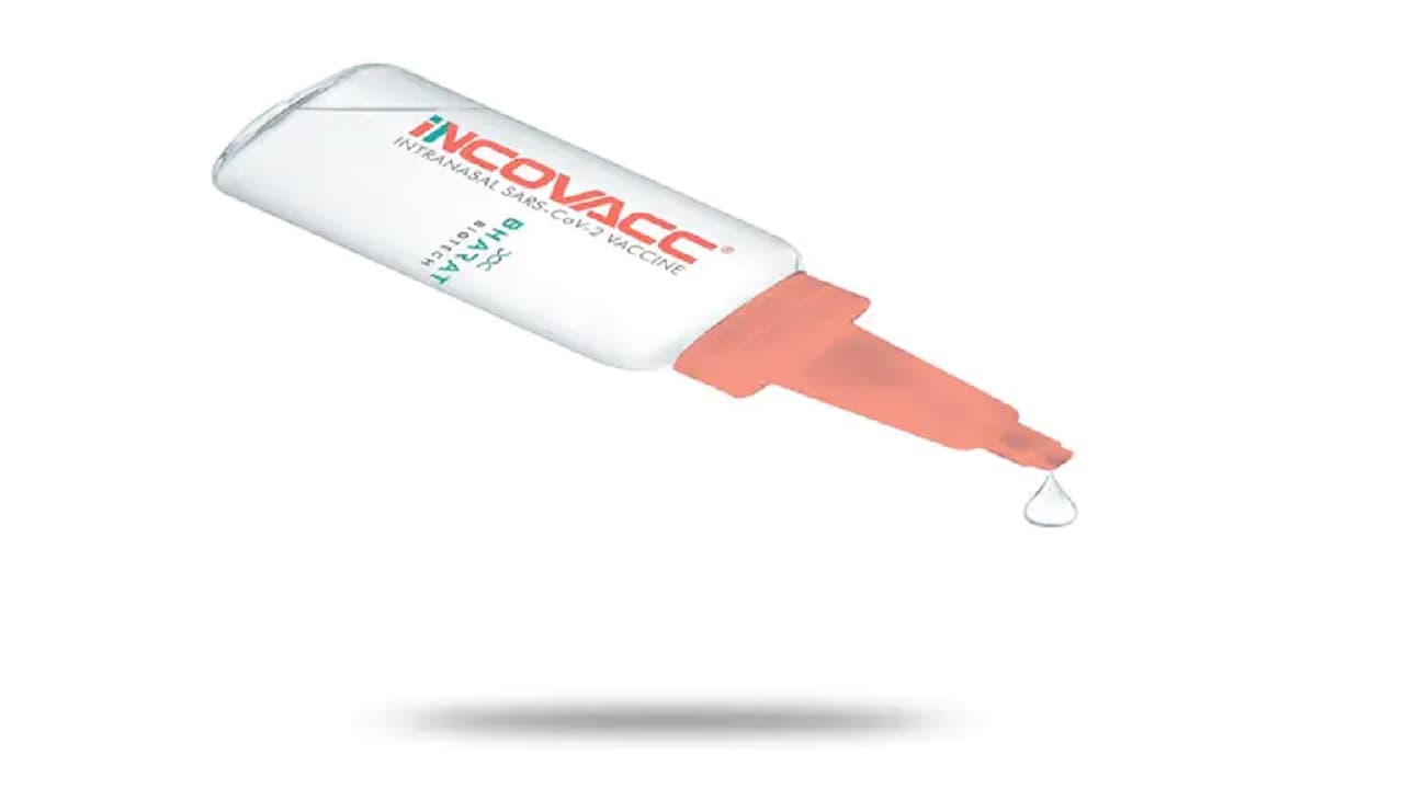 Intranasal COVID-19 Vaccine: नाक से दी जाने वाली iNCOVACC की कीमत का खुलासा, जानिए कितना करना होगा खर्च