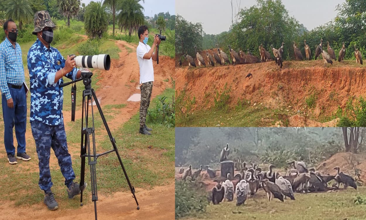 प्रभात खबर इंपैक्ट : गिद्धों के संरक्षण को लेकर कवायद शुरू, जायजा लेने पहुंचे वन संरक्षक एवं डीएफओ