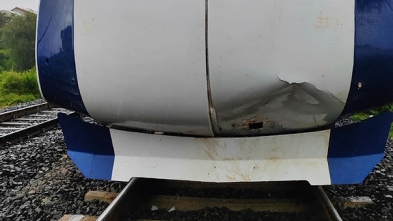Vande Bharat Express: भैंसों के झुंड के बाद अब गाय से टकराई वंदे भारत एक्सप्रेस, गुजरात में हुआ हादसा