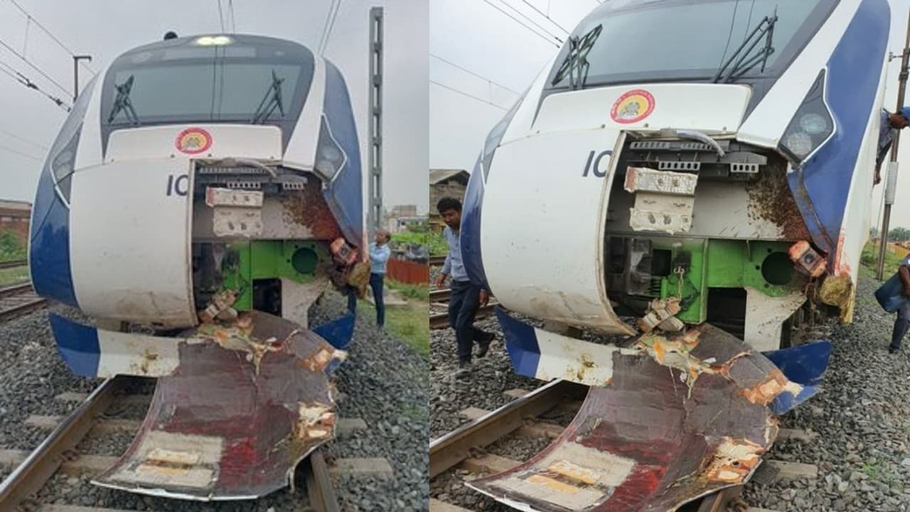 Vande Bharat Accident: जानवरों के झुंड से टकराई 'वंदे भारत ट्रेन', आगे के आधे हिस्से के उड़ गये परखच्चे