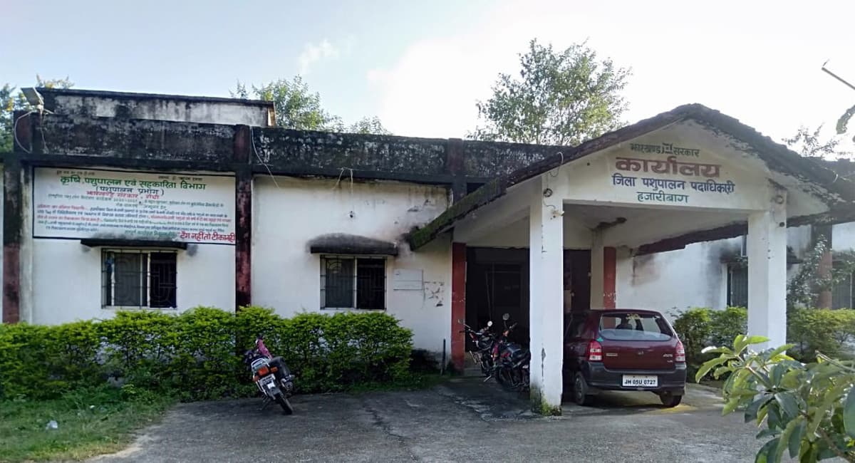 पशुपालन विभाग हजारीबाग में वेटनरी डॉक्टर्स समेत कई कर्मियों का अभाव, ग्रामीण नहीं करा पा रहे हैं पशुओं का इलाज