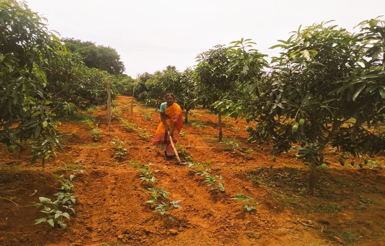 महिला किसान विक्टोरिया कभी थी बाल श्रमिक, अब खेती से बदल रही तकदीर