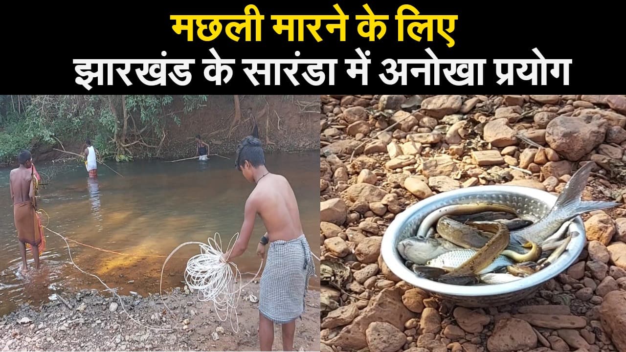 मछली मारने का ऐसा जानलेवा तरीका आपने पहले नहीं देखा होगा...