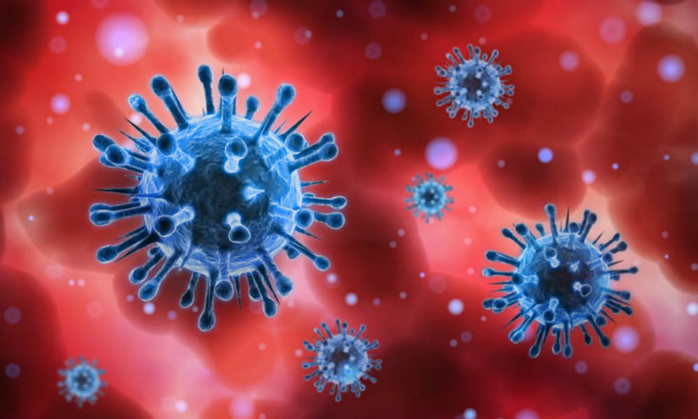 Coronavirus: WHO की चेतावनी, अगर कोरोना बढ़ा तो हर 16 सेकेंड में एक मृत बच्चा पैदा होगा