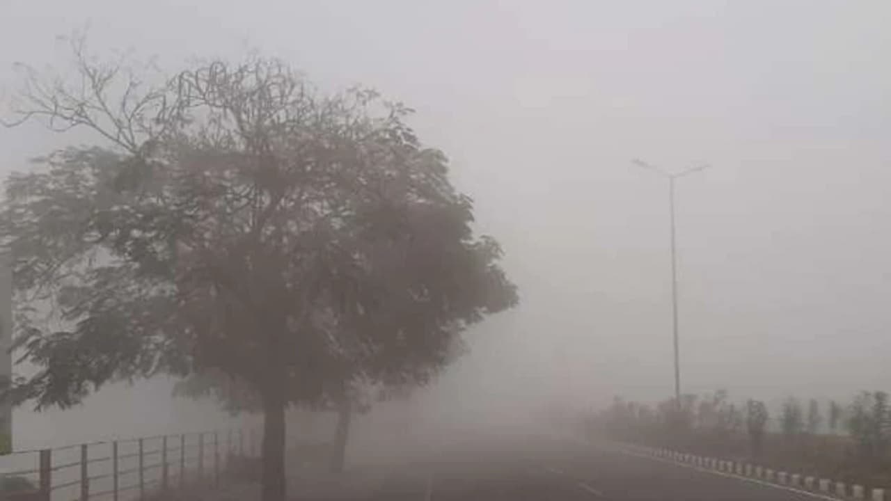 Weather Forecast: राजस्थान के कई इलाकों में कड़ाके की सर्दी से जनजीवन प्रभावित, जानिए अन्य राज्यों का हाल