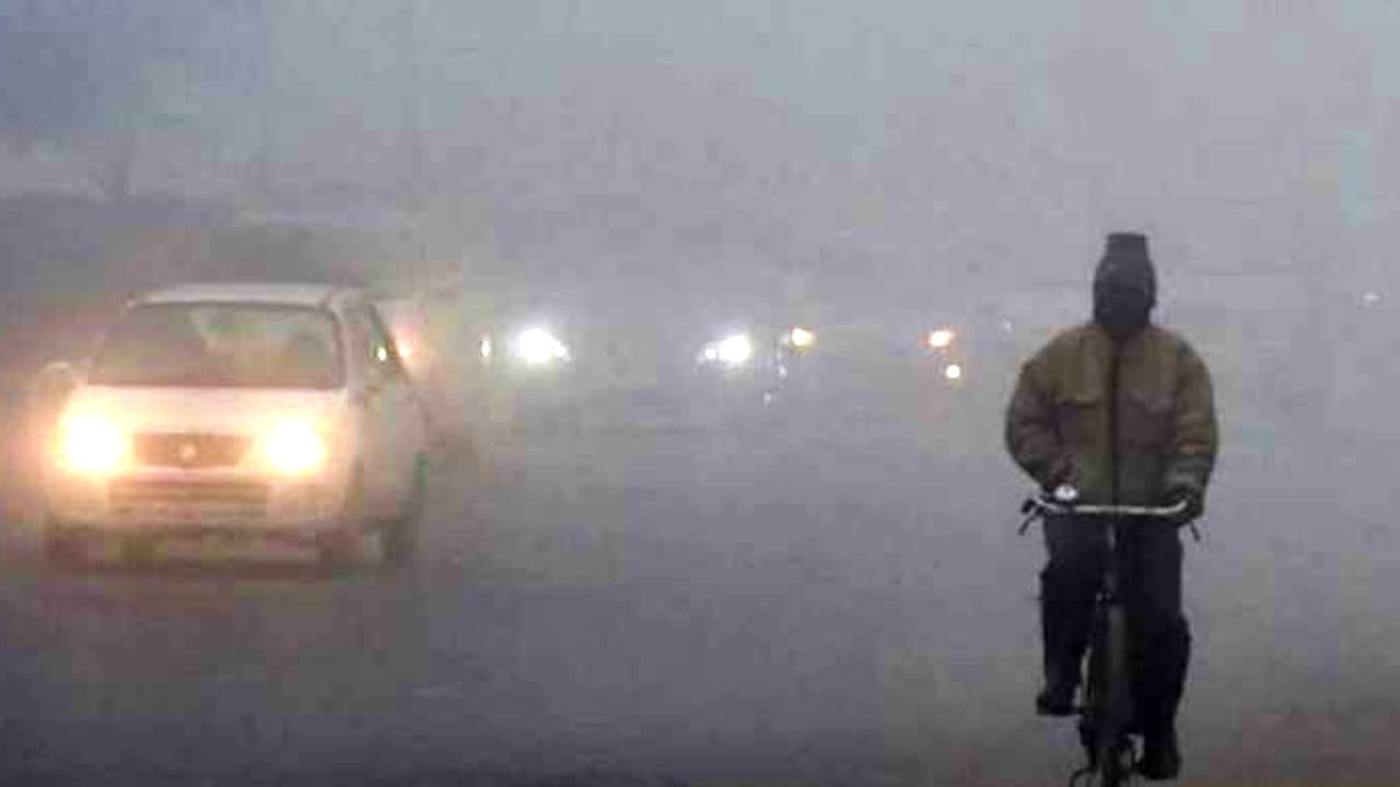 Weather Forecast : नवंबर में नहीं पड़ेगी सर्दी! सामान्य से अधिक गर्म रहेगा महीना, IMD ने बताया कारण