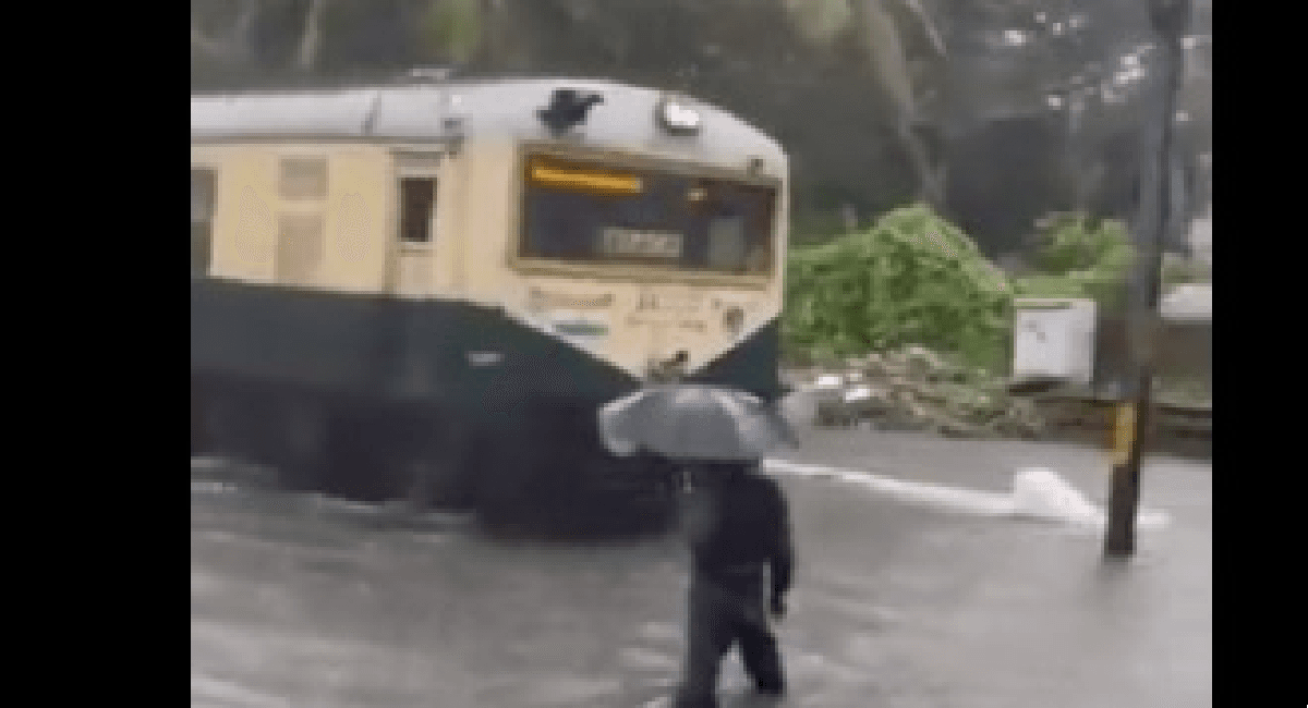 Tamil Nadu Rain : बारिश से चेन्नई पानी-पानी, ऐसे चल रही है ट्रेनें, सोशल मीडिया पर वीडियो वायरल