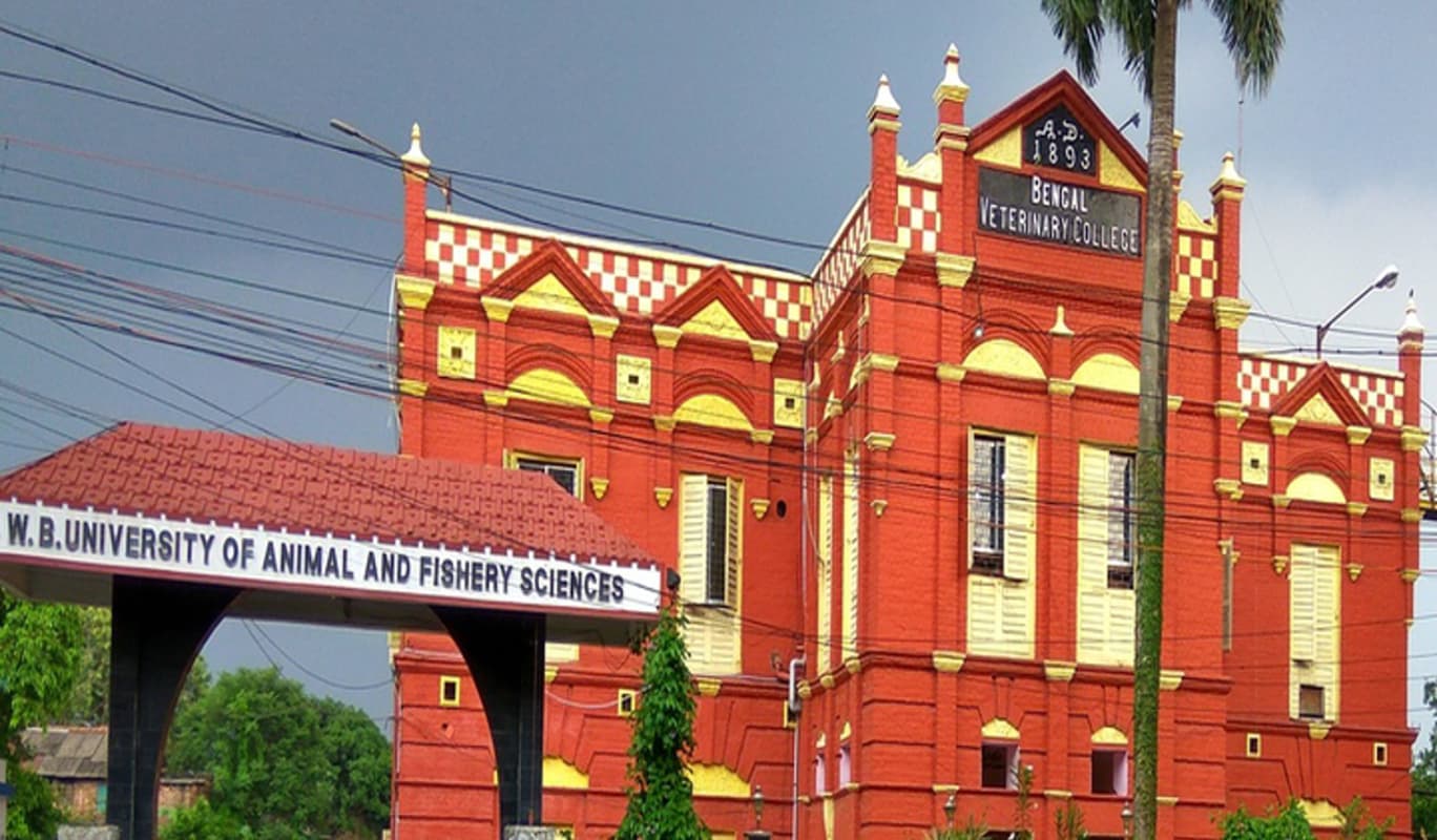 Bengal College Reopening Date: बंगाल में कब खुलेंगे कॉलेज और विश्वविद्यालय, जानें किस बात का है इंतजार