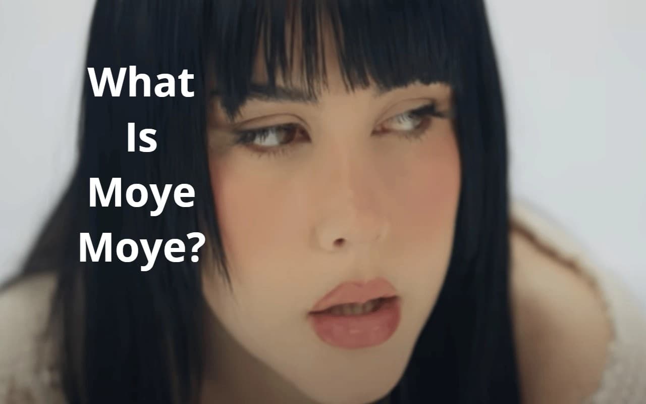 What Is Moye Moye : मोये मोये क्या है और हर कोई इसके बारे में क्यों बात कर रहा है?