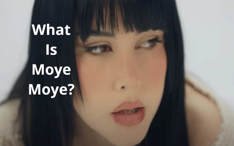 What Is Moye Moye : मोये मोये क्या है और हर कोई इसके बारे में क्यों बात कर रहा है?