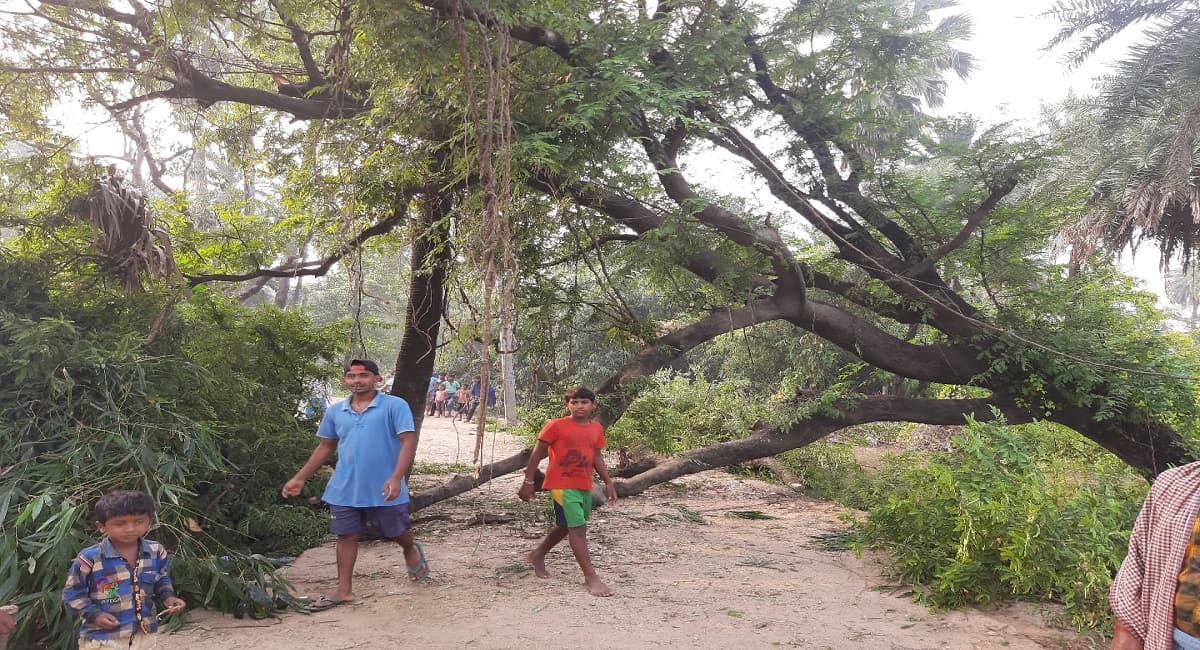 Lakhisarai Encounter: बीच सड़क पर नहीं गिरा होता इमली का पेड़ तो नक्सलियों पर और भारी पड़ सकती थी पुलिस