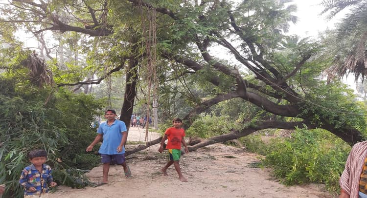 Lakhisarai Encounter: बीच सड़क पर नहीं गिरा होता इमली का पेड़ तो नक्सलियों पर और भारी पड़ सकती थी पुलिस