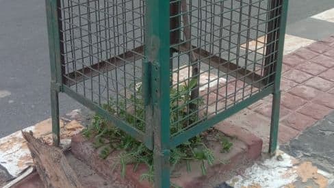 Agra News: आगरा में 70 हजार पौधों को जमीन निगल गई या आसमान? होगा सत्यापन