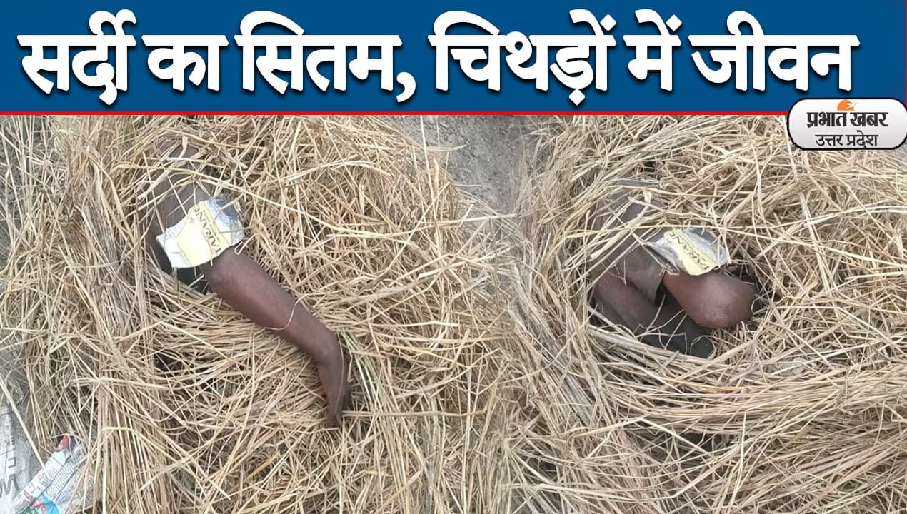 Exclusive: अलीगढ़ में दिखी ठंड की दर्दनाक तस्वीर, घास-फूस ओढ़कर सोने को मजबूर हुआ व्यक्ति