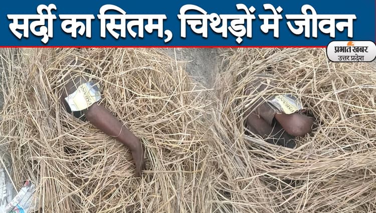 Exclusive: अलीगढ़ में दिखी ठंड की दर्दनाक तस्वीर, घास-फूस ओढ़कर सोने को मजबूर हुआ व्यक्ति