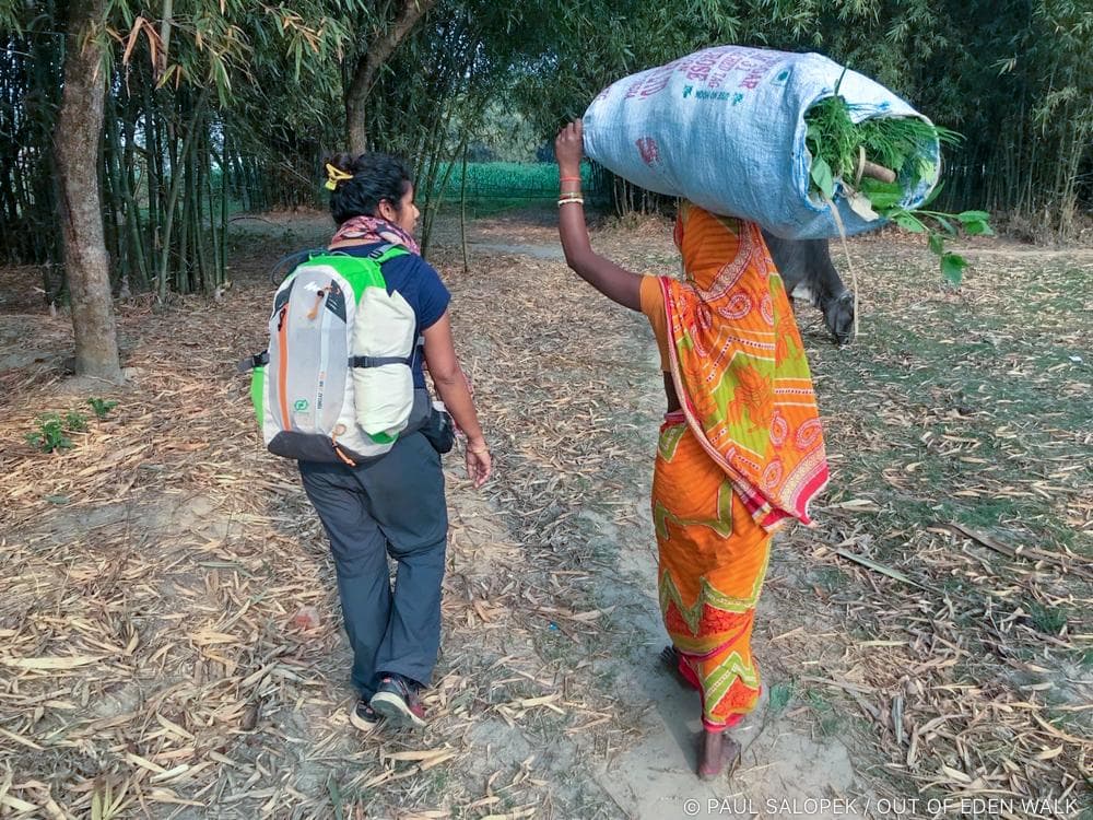 भारत में पहली बार पुरुषों से अधिक हुई महिलाओं की आबादी, शहरों के मुकाबले गांवों में बेटियों का ज्यादा बढ़ा मान