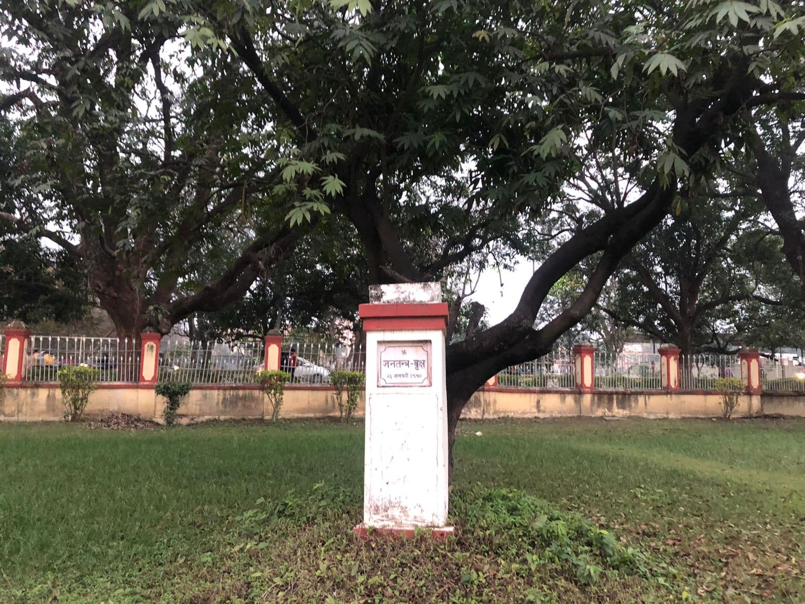 BHU में आज भी मौजूद है ऐतिहासिक रिपब्लिक डे ट्री, जो बयां करती है 26 जनवरी 1950 के दौर की कहानी