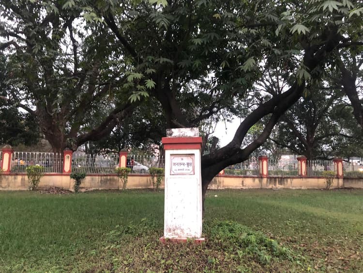 BHU में आज भी मौजूद है ऐतिहासिक रिपब्लिक डे ट्री, जो बयां करती है 26 जनवरी 1950 के दौर की कहानी