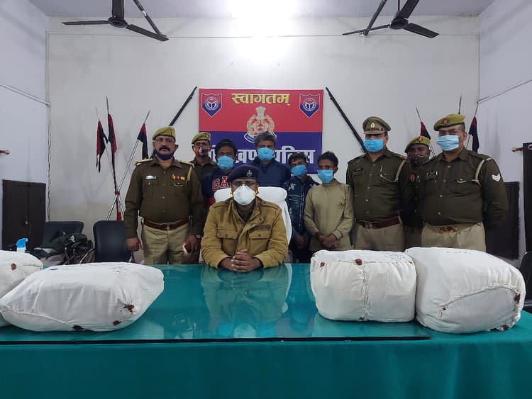 गोरखपुर पुलिस ने 5 क्विंटल गांजा के साथ 9 लोगों को किया गिरफ्तार