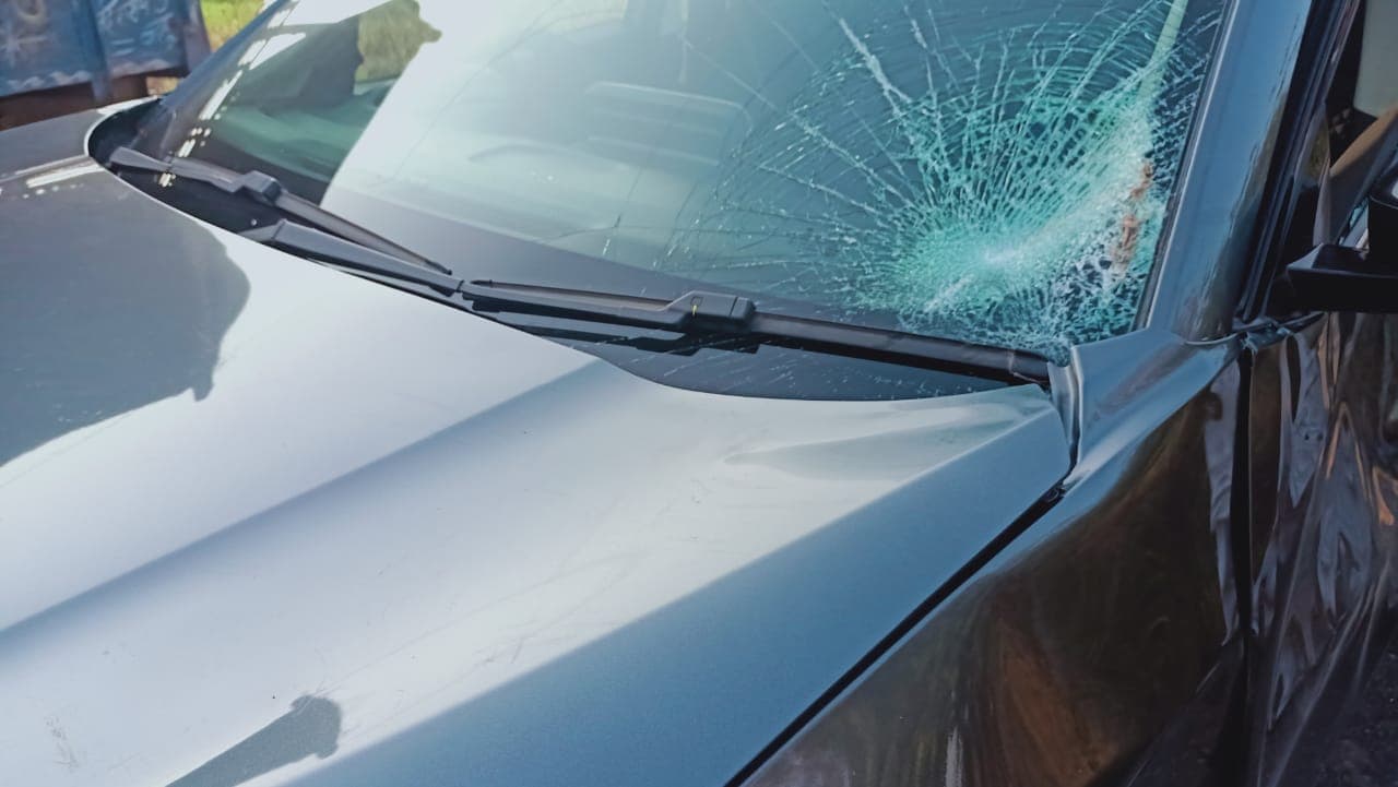 IMC प्रमुख मौलाना तौकीर रजा खां सड़क हादसे में बाल-बाल बचे, कार से नीलगाय टकराई, ऐसे हुआ हादसा