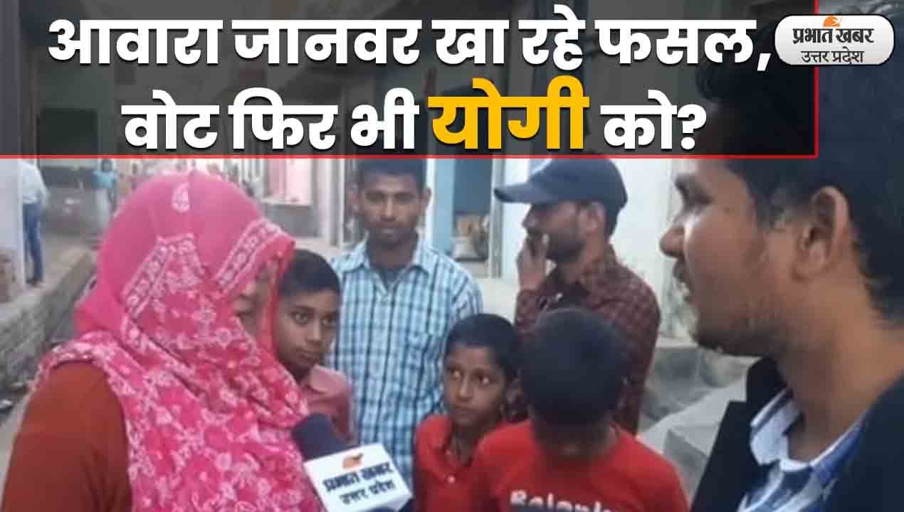 UP Election 2022: आवारा जानवरों से परेशान शिकोहाबाद की जनता, क्या फिर से देगी बीजेपी को वोट?