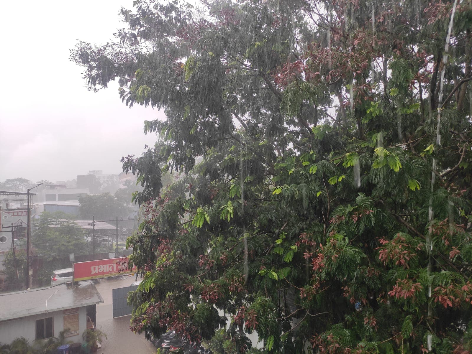 Jharkhand Weather: राज्य में सक्रिय हुआ मॉनसून, चार जुलाई तक होगी बारिश