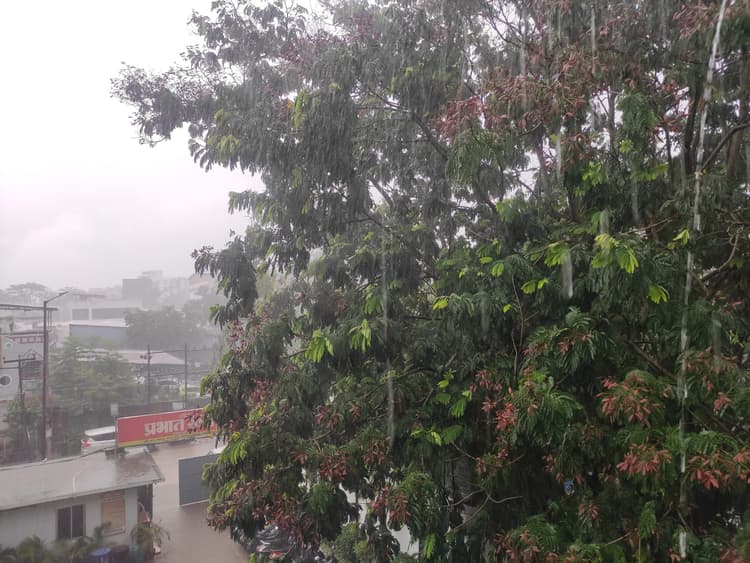Bihar Weather Update: मॉनसून की ट्रफ लाइन ने शहर में करायी झमाझम बारिश, जानें कब तक होगी बारिश