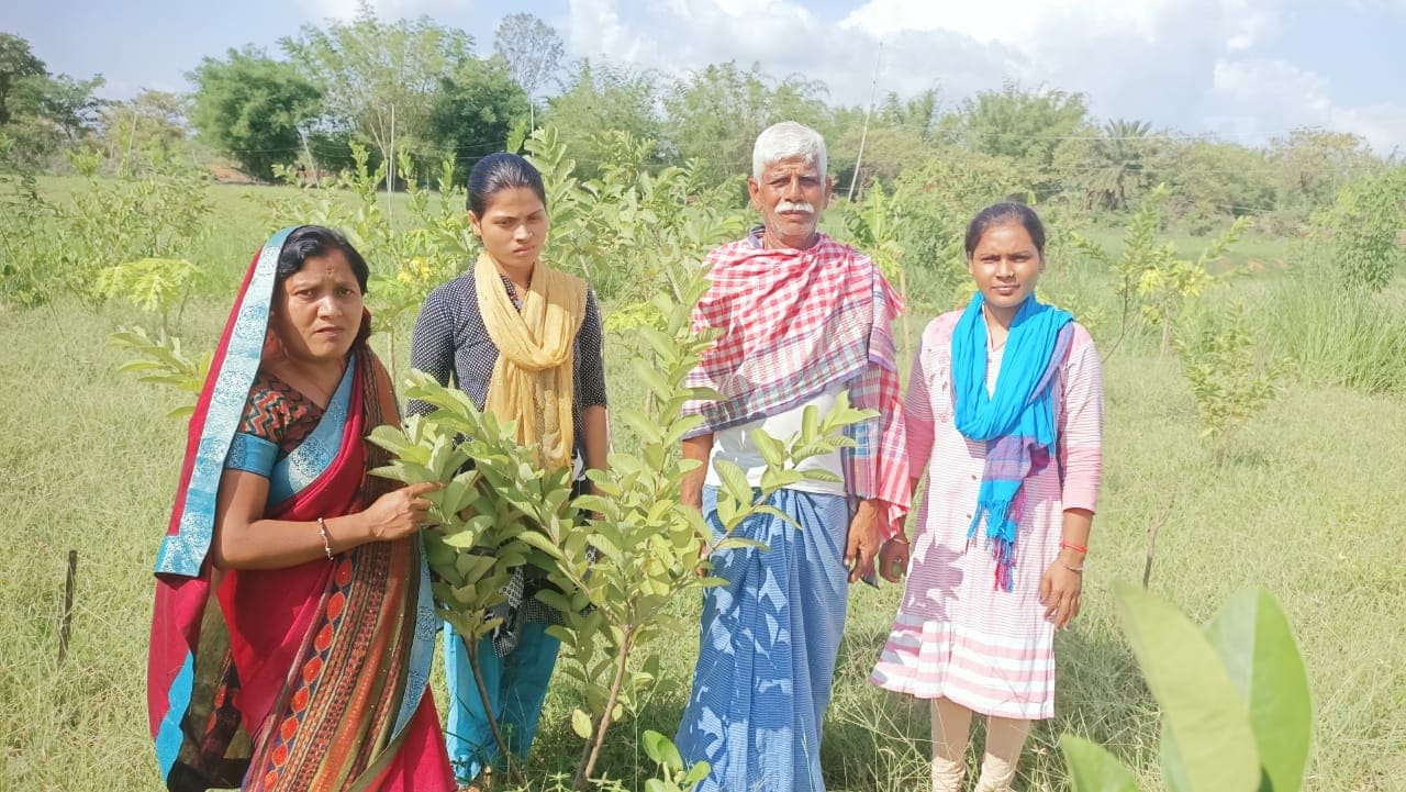 जैविक खेती कर चर्चा में है पेटरवार का दिगवार परिवार, केंद्रीय मंत्री नितिन गडकरी ने भी मंगाया आलू