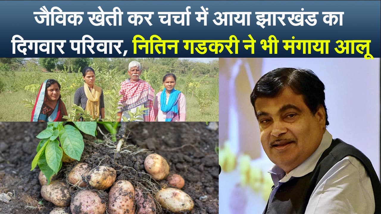 जैविक खेती कर चर्चा में आया झारखंड का दिगवार परिवार, नितिन गडकरी ने भी मंगाया आलू