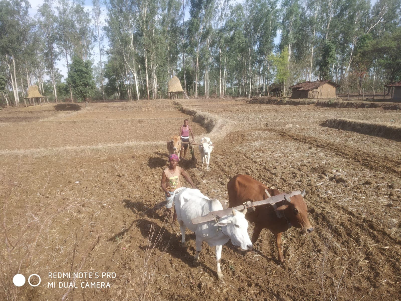 गढ़वा में मात्र 18 फीसदी बारिश होने से पीने के पानी पर भी संकट, सूखे की स्थिति बनी