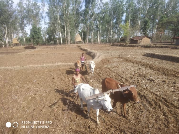 झारखंड में सूखे की स्थिति का आकलन के लिए वरीय अधिकारी करेंगे फिल्ड विजिट, रिपोर्ट करेंगे तैयार