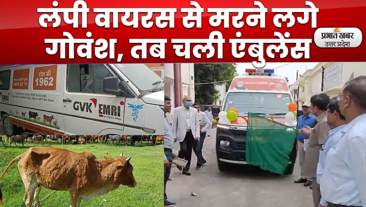 Lucknow News: लापरवाही ने लगा दी थी बीमार पशुओं की एंबुलेंस को ब्रेक