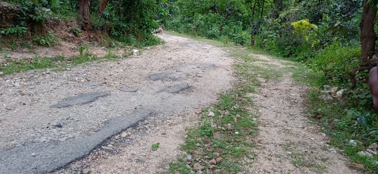 झारखंड के इन गांवों की बेटियों की नहीं हो पा रही शादी, बारात आने से भी कतराते हैं लोग, जानें वजह