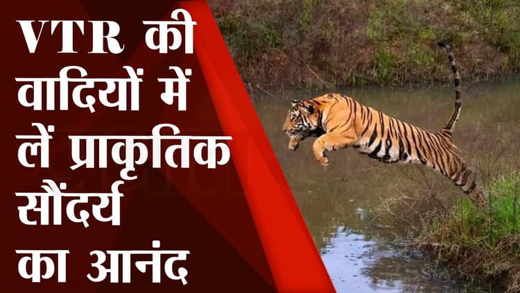 Valmiki Nagar Tiger Reserve : वाल्मीकि नगर की खूबसूरत वादियों में लें प्रकृति का आनंद