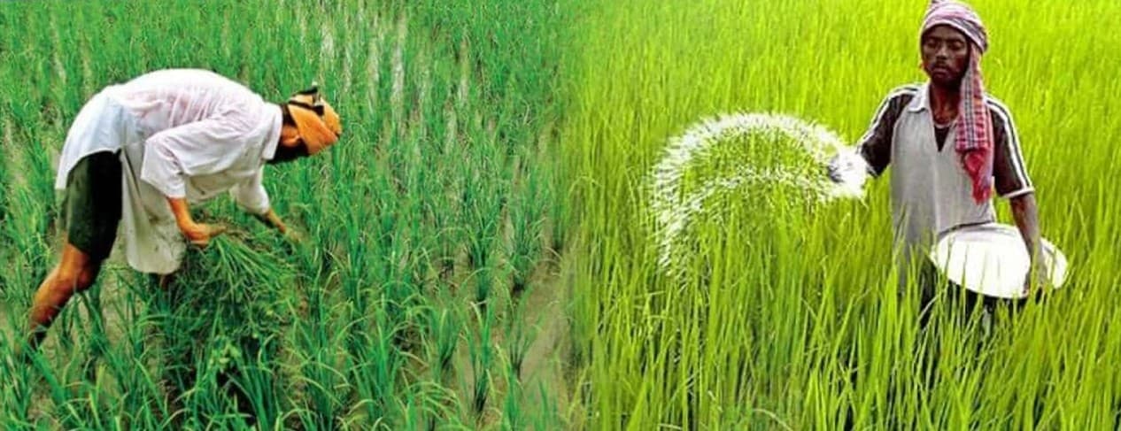 झारखंड के किसानों के लिए बनेगा चेंबर ऑफ फॉर्मर्स, वन डिस्ट्रिक्ट, वन प्रोडक्ट पर होगा फोकस